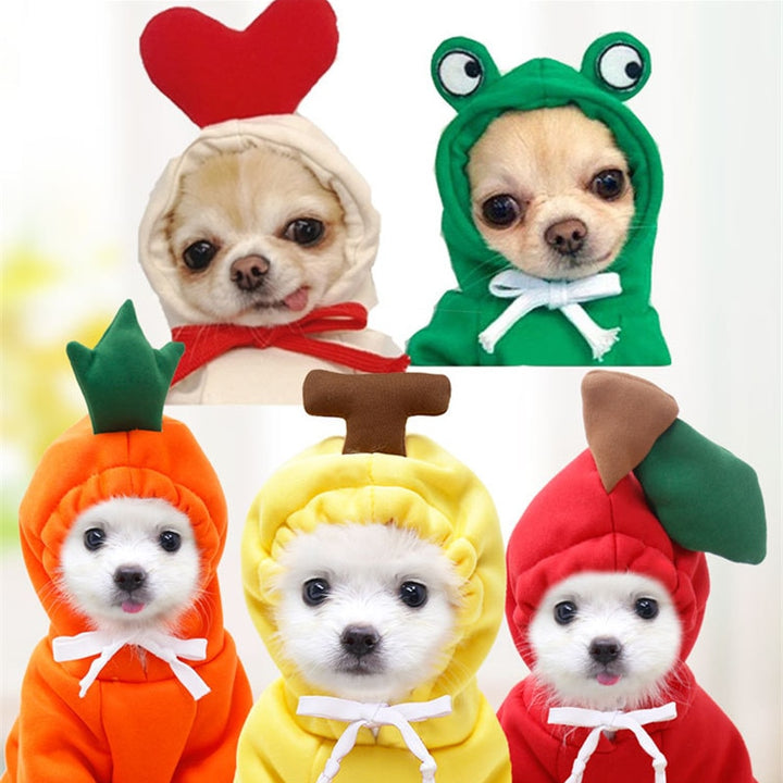 Warm Dog Winter Clothes Cute Fruit Dog