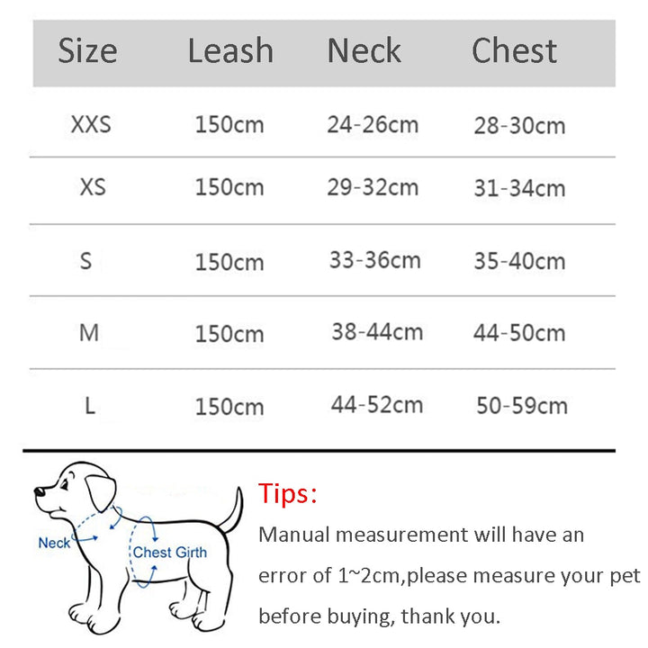 Dog Harness Leash Set for Small Dogs